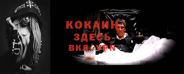 гидра Горно-Алтайск