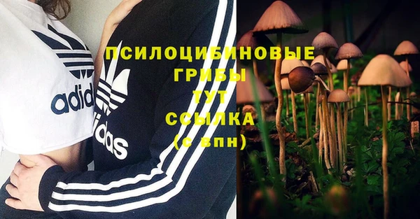 гидра Горно-Алтайск