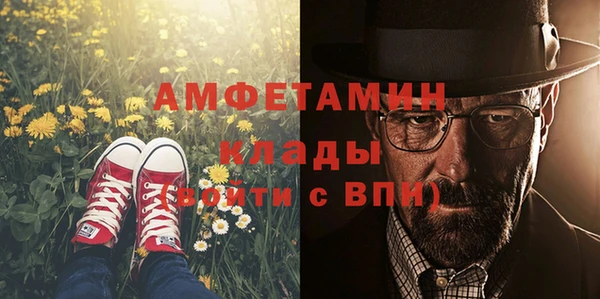 гидра Горно-Алтайск