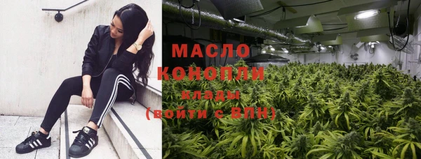 хмурый Вяземский