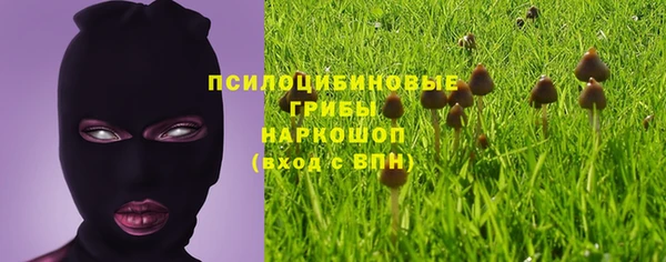 амфетамин Горнозаводск