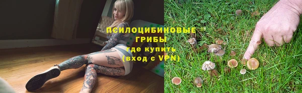 гидра Горно-Алтайск