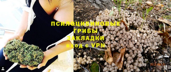 амфетамин Горнозаводск